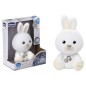 luce notturna bunny